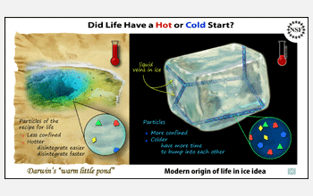 Illustration of proposed theory of life